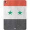 Syria Flag Distressed iPad Pro 13in M4 (2024) Skin